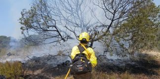 La lucha contra el fuego en Doñana moviliza ya a 130 efectivos y diez aeronaves Incendio en Doñana