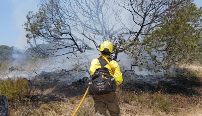 Incendio en Doñana