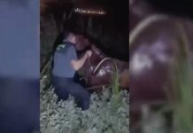 Rescatan a un jinete atrapado bajo su caballo en un lodazal en El Rocío caballo lodazal
