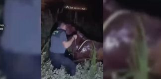 Rescatan a un jinete atrapado bajo su caballo en un lodazal en El Rocío caballo lodazal