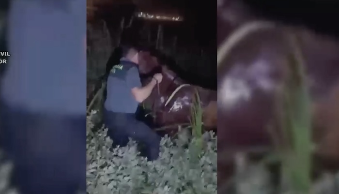 Rescatan a un jinete atrapado bajo su caballo en un lodazal en El Rocío caballo lodazal