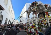 Peregrinos de 54 hermandades ya caminan hacia El Rocío
