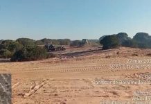 Cien bomberos forestales trabajan en Doñana tras la estabilización del incendio