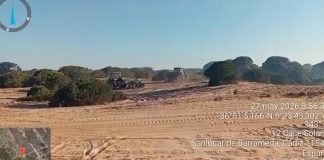 Cien bomberos forestales trabajan en Doñana tras la estabilización del incendio