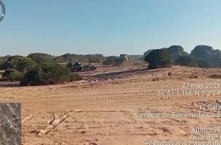 Cien bomberos forestales trabajan en Doñana tras la estabilización del incendio