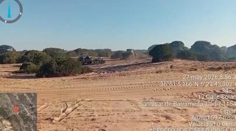 Cien bomberos forestales trabajan en Doñana tras la estabilización del incendio