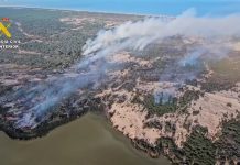 El incendio de Doñana afecta ya a más de 250 hectáreas Incendio en Doñana