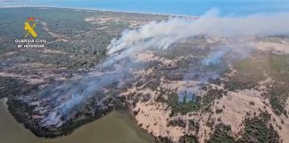 El incendio de Doñana afecta ya a más de 250 hectáreas Incendio en Doñana