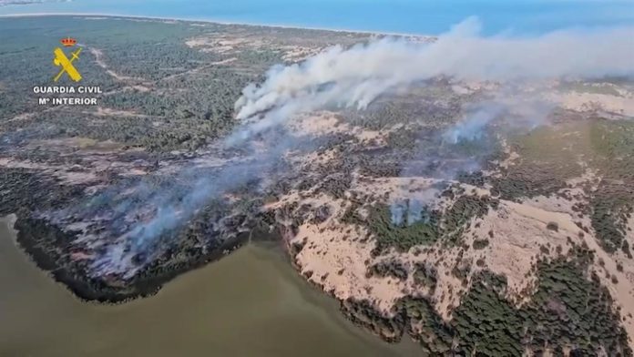 Incendio en Doñana