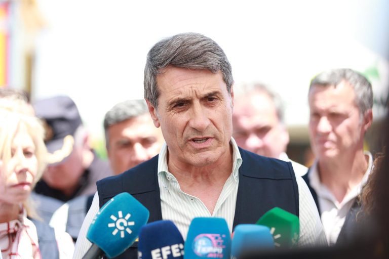 La investigación descarta «intencionalidad» en el incendio de Castillejos