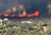 Activada la fase 1 del Plan de Emergencias por el incendio forestal de Castillejos