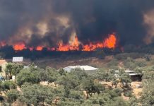 Activada la fase 1 del Plan de Emergencias por el incendio forestal de Castillejos