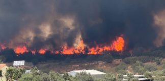 Activada la fase 1 del Plan de Emergencias por el incendio forestal de Castillejos
