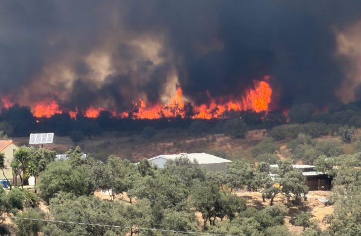 Activada la fase 1 del Plan de Emergencias por el incendio forestal de Castillejos