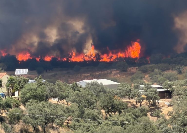Activada la fase 1 del Plan de Emergencias por el incendio forestal de Castillejos