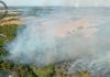 El Infoca trabaja en la extinción de un incendio en el Paraje Tariquejo de Cartaya Incendio Tariquejo