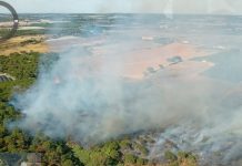 El Infoca trabaja en la extinción de un incendio en el Paraje Tariquejo de Cartaya Incendio Tariquejo