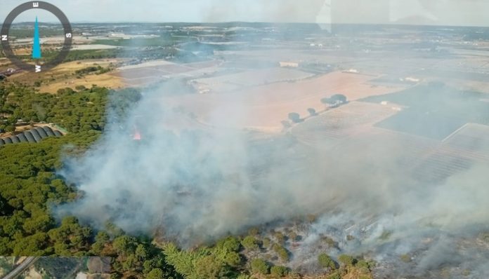 Incendio Tariquejo