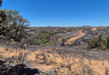 El incendio de Castillejos desciende a situación de preemergencia