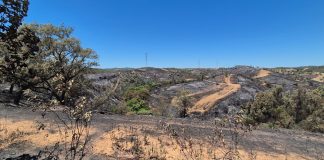 El incendio de Castillejos desciende a situación de preemergencia