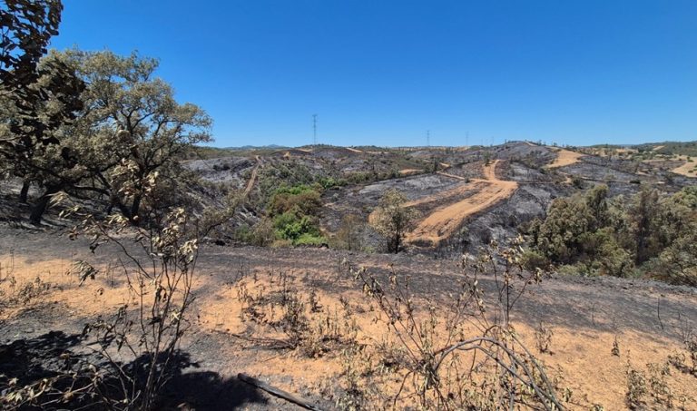 El incendio de Castillejos desciende a situación de preemergencia