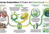 Investigadores de la UHU desarrollan un nuevo material bioinspirado para baterías de litio de alta potencia y sostenibilidad