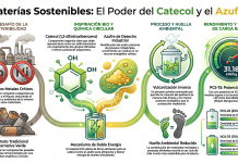 Investigadores de la UHU desarrollan un nuevo material bioinspirado para baterías de litio de alta potencia y sostenibilidad