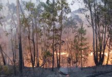 Los vecinos regresan a sus casas tras estabilizarse el incendio de Almonaster
