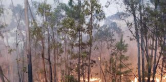 Los vecinos regresan a sus casas tras estabilizarse el incendio de Almonaster