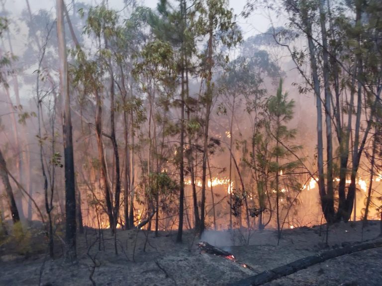 Los vecinos regresan a sus casas tras estabilizarse el incendio de Almonaster
