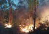 Reubicados en los polideportivos de Almonaster y Cortegana unos 330 evacuados por el incendio
