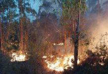 Reubicados en los polideportivos de Almonaster y Cortegana unos 330 evacuados por el incendio