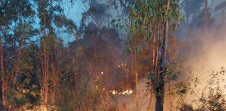 Reubicados en los polideportivos de Almonaster y Cortegana unos 330 evacuados por el incendio