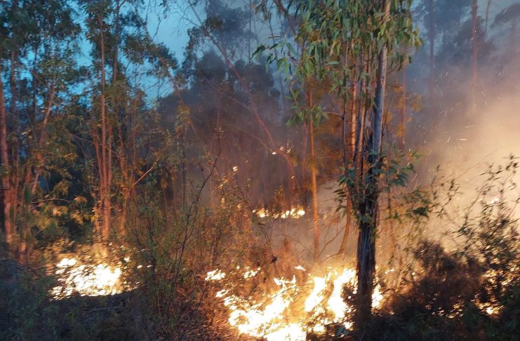 Reubicados en los polideportivos de Almonaster y Cortegana unos 330 evacuados por el incendio