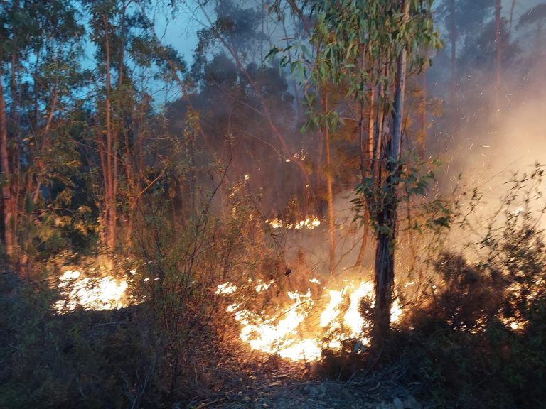 Reubicados en los polideportivos de Almonaster y Cortegana unos 330 evacuados por el incendio
