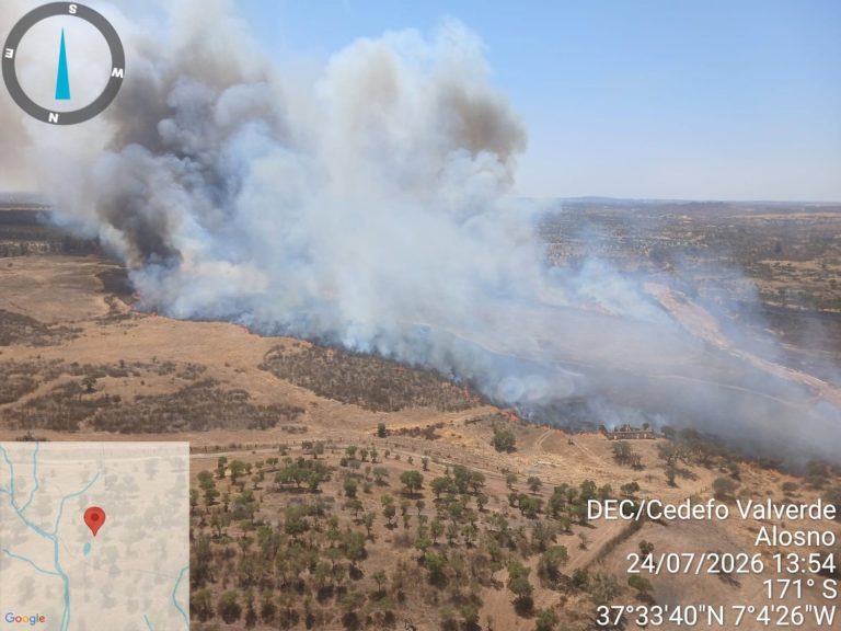 El Infoca lucha contra un segundo incendio en Alosno
