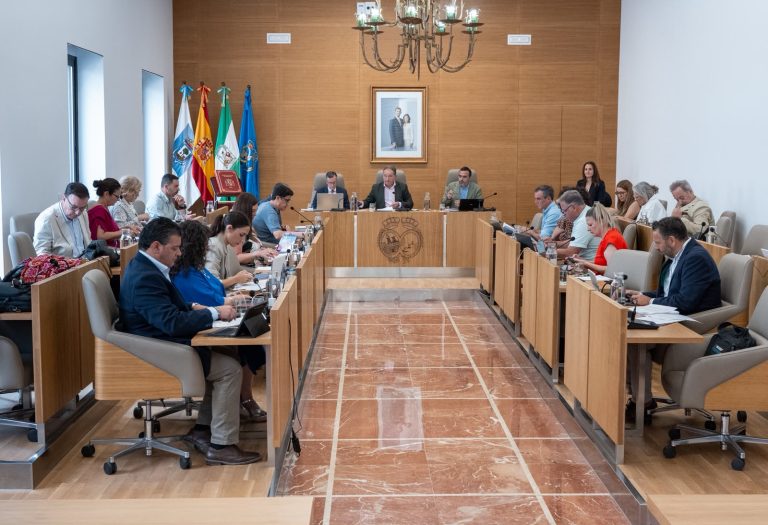 La Diputación reconoce el trabajo del Infoca, la UME y el Consorcio tras los incendios del Andévalo