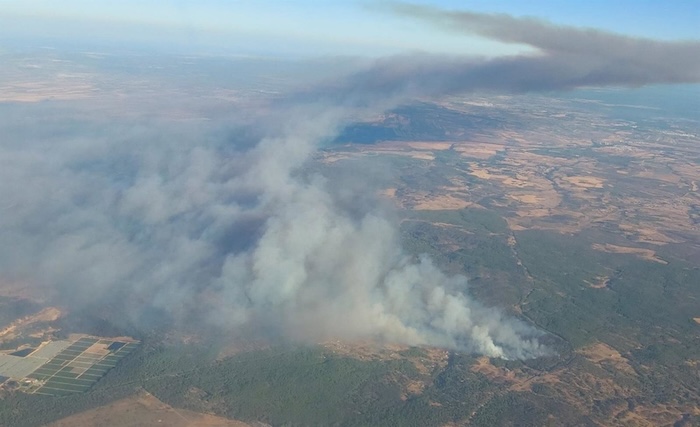 Incendio en Niebla