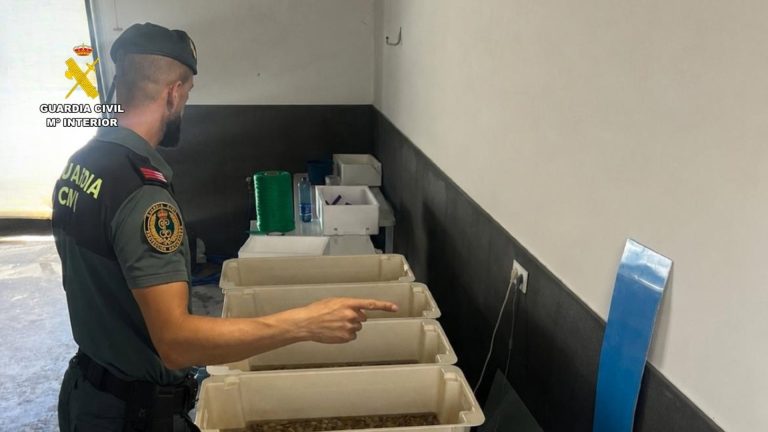 Intervienen casi 90 kilos de productos pesqueros que se distribuían desde un garaje de La Redondela