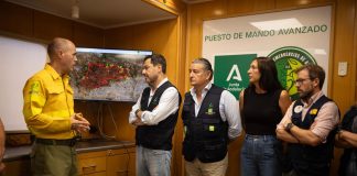 Estabilizado el incendio de Niebla 10 días después de originarse