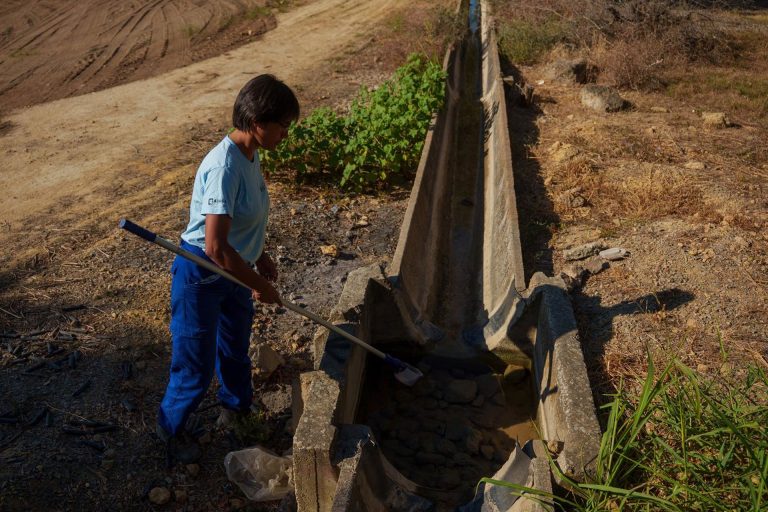 Detectado un nuevo caso grave de virus del Nilo en Niebla