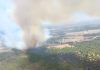 Lucena sufre su quinto incendio en 15 días