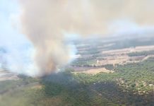 Lucena sufre su quinto incendio en 15 días