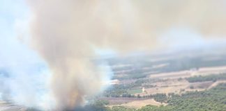 Lucena sufre su quinto incendio en 15 días