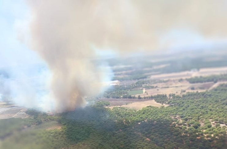 Lucena sufre su quinto incendio en 15 días