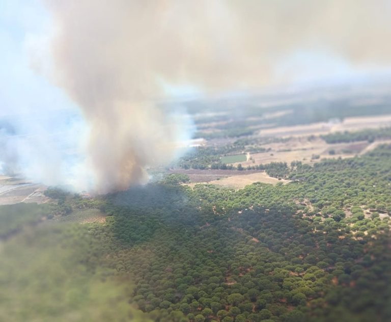 Lucena sufre su quinto incendio en 15 días