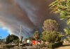 Efectivos de la UME y de Extremadura se suman a la lucha contra el fuego «descontrolado» de Niebla Incendio de Niebla, humo