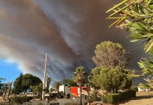 Efectivos de la UME y de Extremadura se suman a la lucha contra el fuego «descontrolado» de Niebla Incendio de Niebla, humo