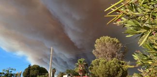 Efectivos de la UME y de Extremadura se suman a la lucha contra el fuego «descontrolado» de Niebla Incendio de Niebla, humo