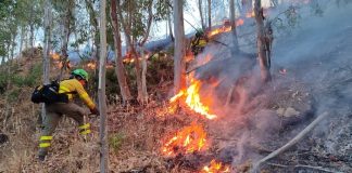 El incendio de Niebla obliga a cortar dos carreteras del entorno Incendio en Niebla